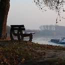 Foto-Forum BEFO-2014-  026